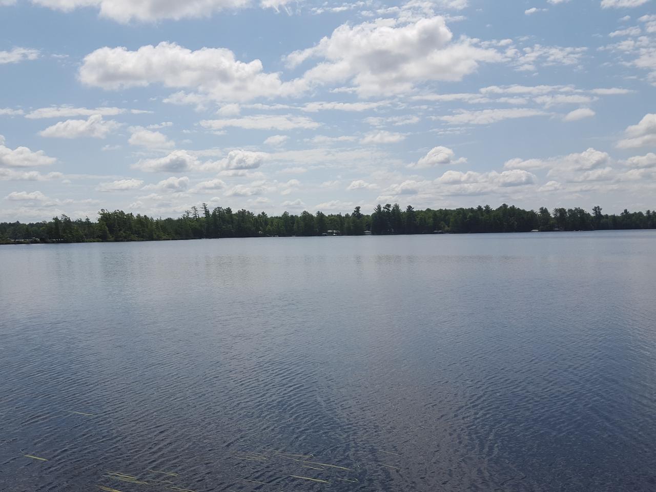 Lot 40 Cw Smith Road Three Lakes, WI 54562 - Photo 8 of 49 Gallery Image 8