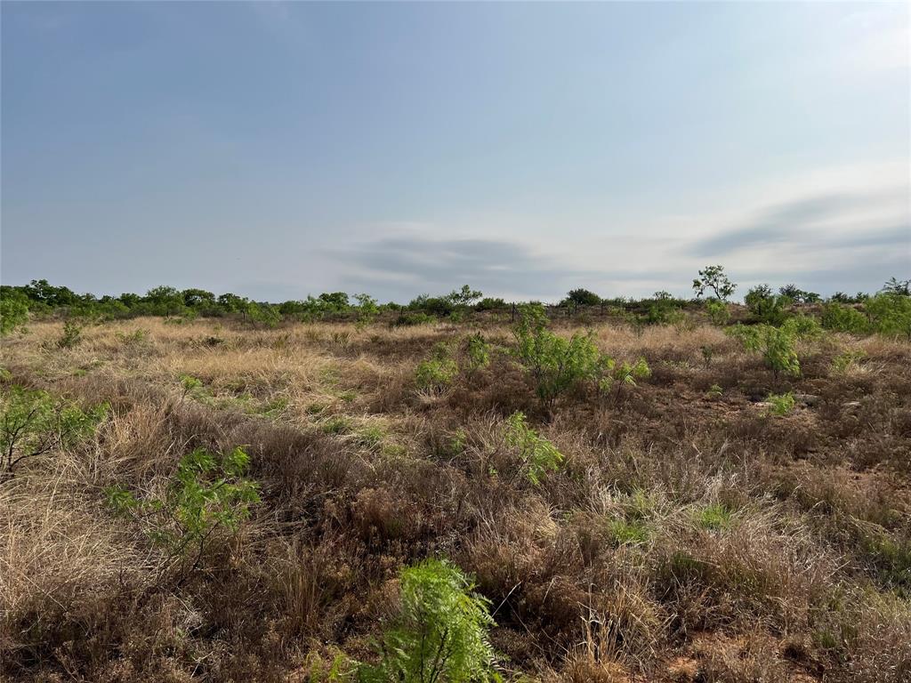 277 St Bronte Tx 76933 Bronte, TX 76933 - Photo 12 of 38