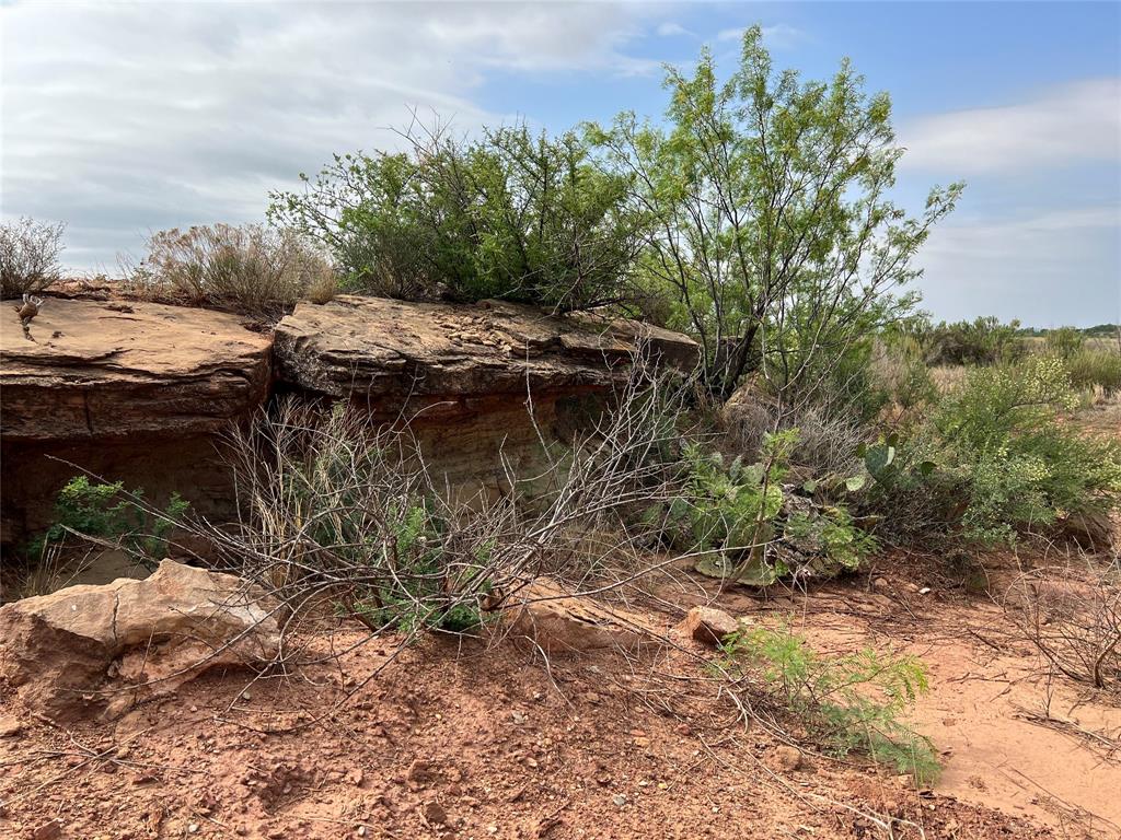 277 St Bronte Tx 76933 Bronte, TX 76933 - Photo 16 of 38