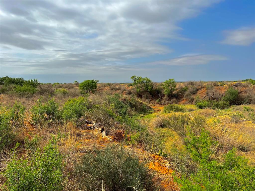 277 St Bronte Tx 76933 Bronte, TX 76933 - Photo 23 of 38