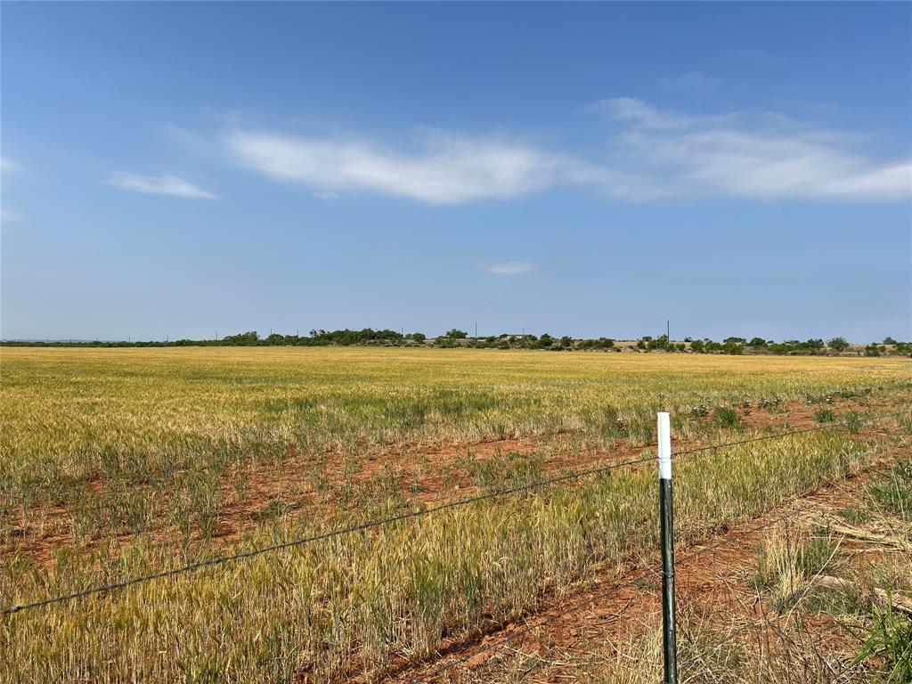277 St Bronte Tx 76933 Bronte, TX 76933 - Photo 29 of 38