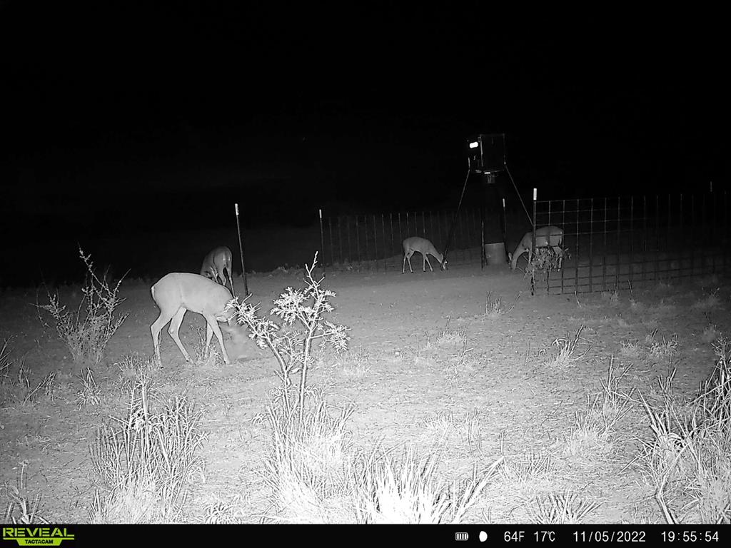 277 St Bronte Tx 76933 Bronte, TX 76933 - Photo 33 of 38