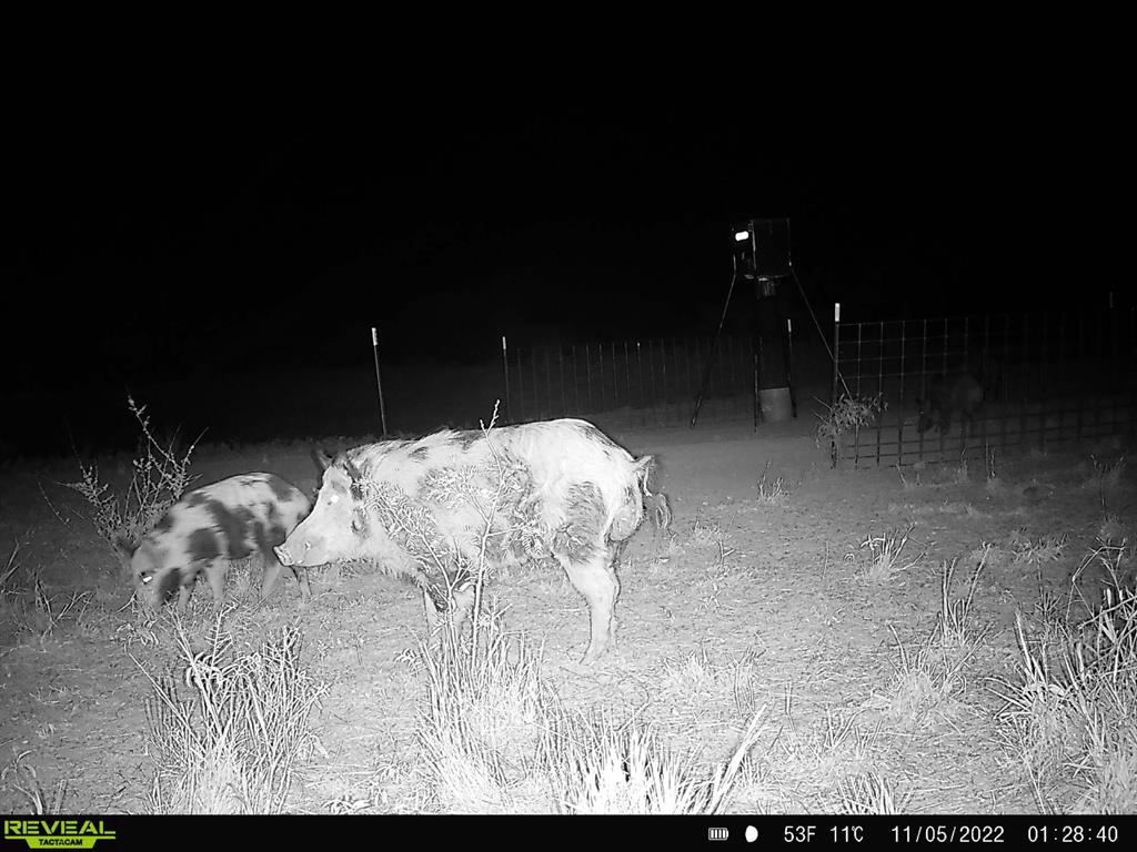 277 St Bronte Tx 76933 Bronte, TX 76933 - Photo 34 of 38