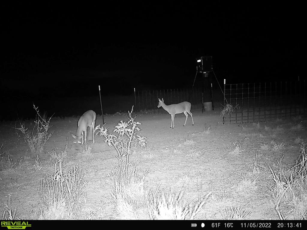 277 St Bronte Tx 76933 Bronte, TX 76933 - Photo 35 of 38