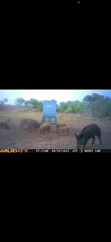 $515,000 | 277 St Bronte Tx 76933, Bronte, TX 76933