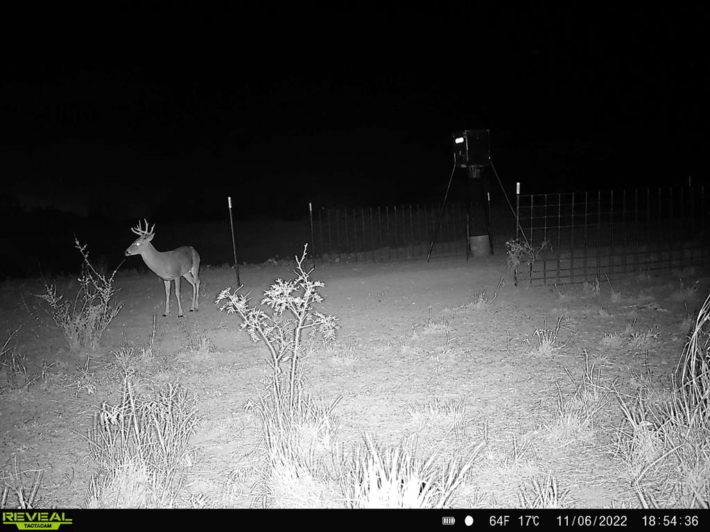 277 St Bronte Tx 76933 Bronte, TX 76933 - Photo 38 of 38