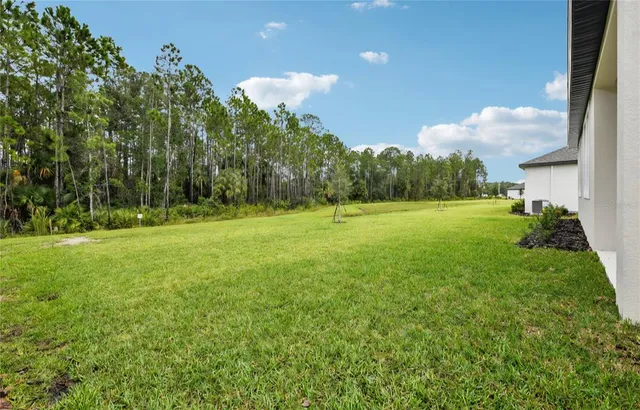 a view of a field with a trees in the background