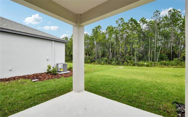 a view of a backyard with plants and a garden