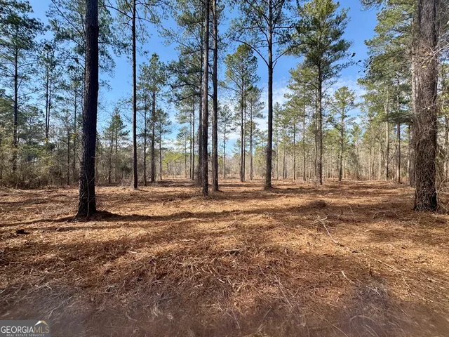 $154,000 | 0 Mosley Bridge Road, Claxton, GA 30417
