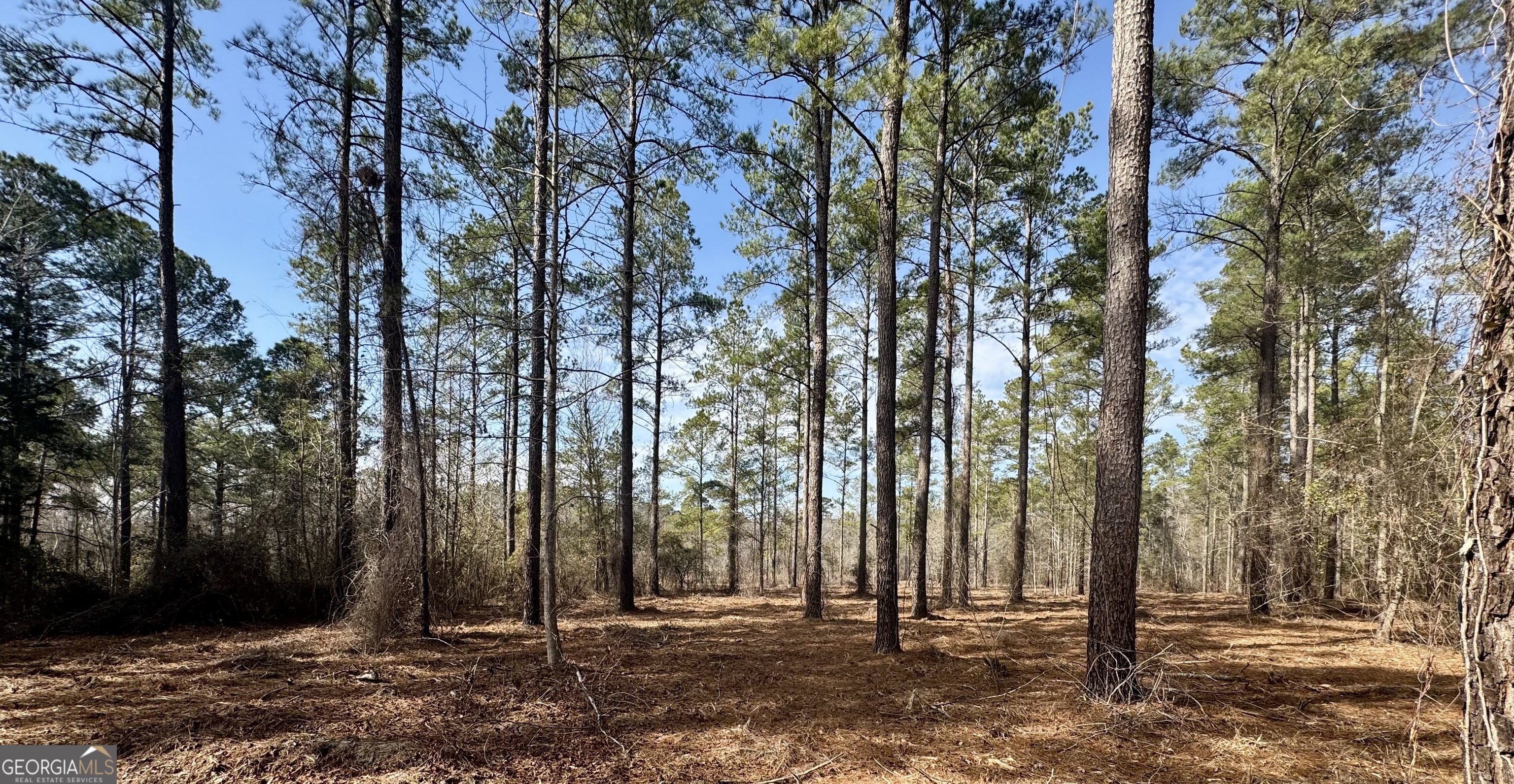 0 Mosley Bridge Road Claxton, GA 30417 - Photo 2 of 5