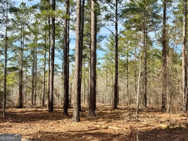a view of a barn with large trees