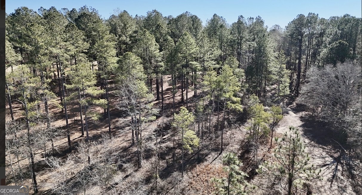 0 Mosley Bridge Road Claxton, GA 30417 - Photo 5 of 5