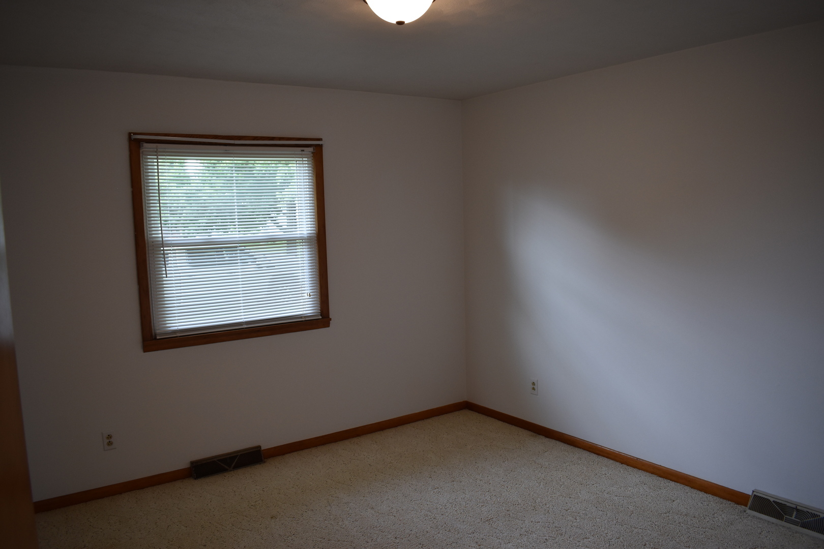 301 East Ririe Place Flanagan, IL 61740 - Photo 13 of 28
