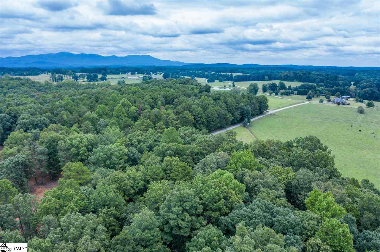 5330 Locust Hill Road Travelers Rest, SC 29690 - Photo 35 of 36