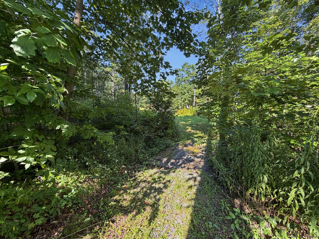 1443 Greenwich Road Cherry Tree, PA 15724 - Photo 10 of 71 Gallery Image 10