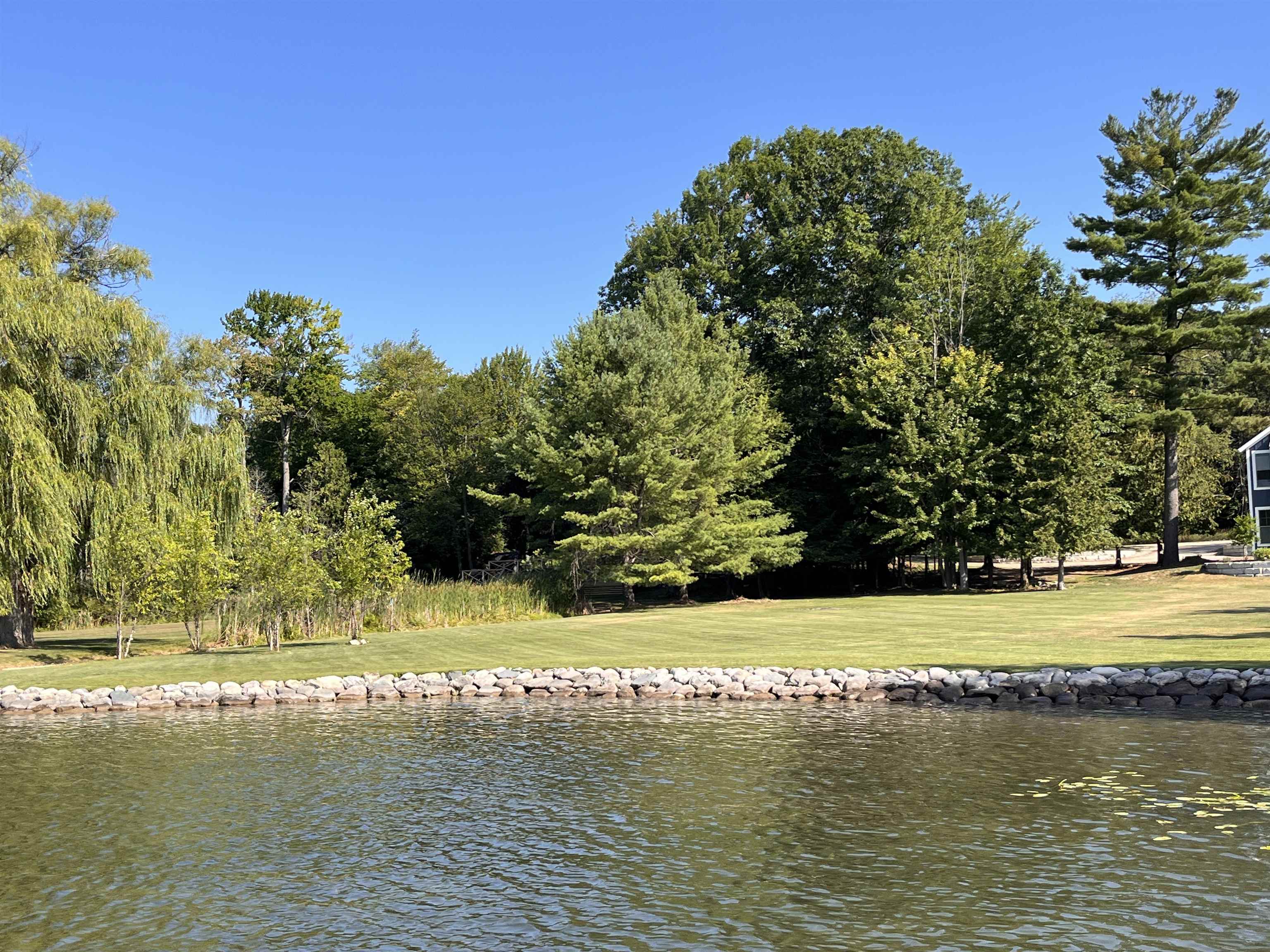 Vl Clam Lake Road Bellaire, MI 49615 - Photo 4 of 14