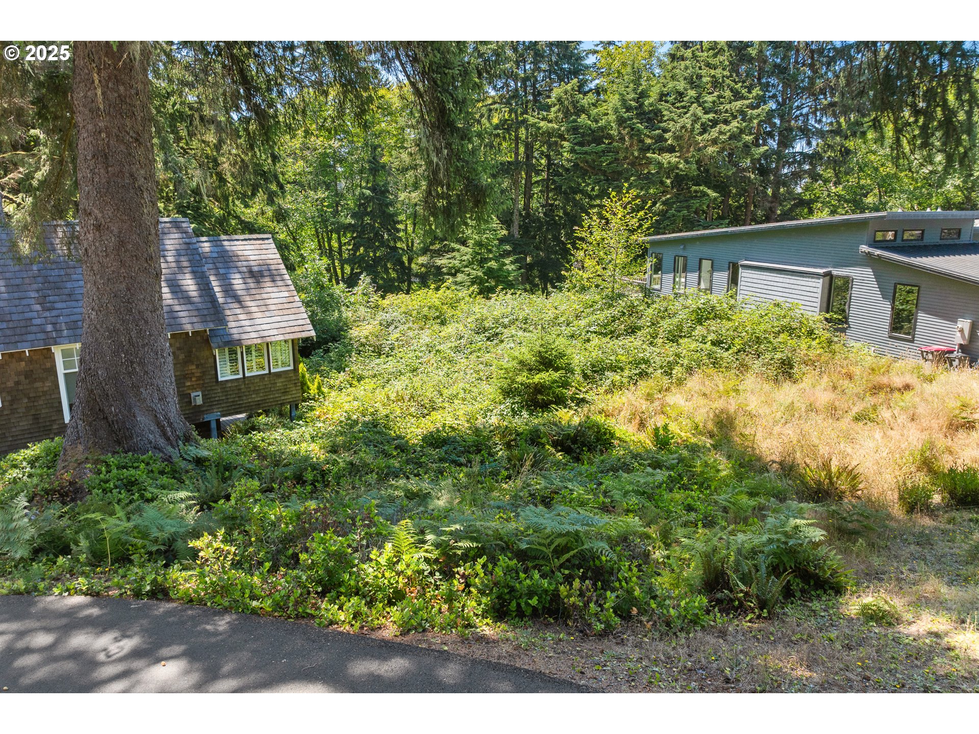 a view of house with a yard