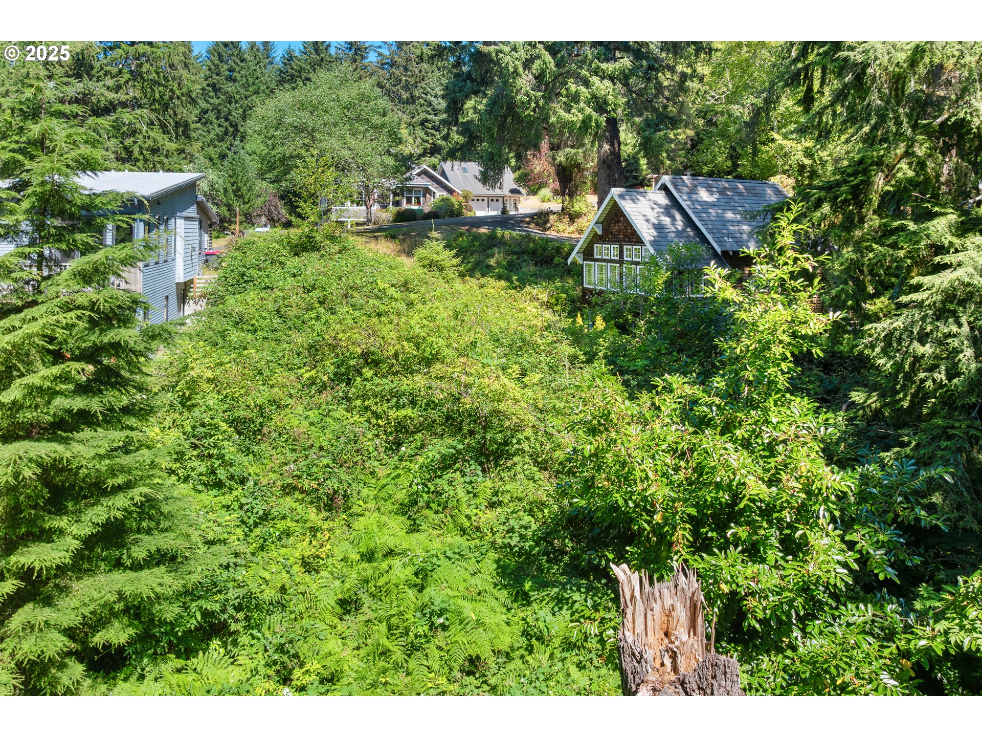 0 East 6th Street Cannon Beach, OR 97110 - Photo 2 of 15 a view of outdoor space and yard