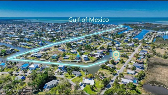 a view of a bunch of flowers