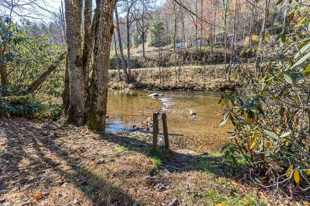 a view of a lake with houses covered by trees