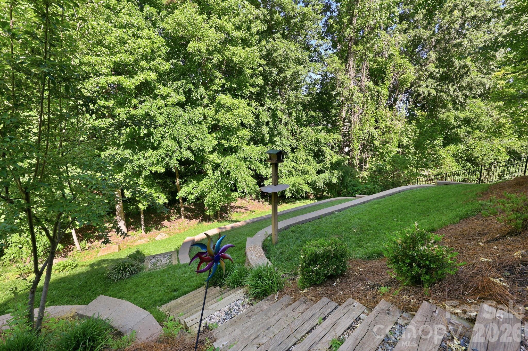 3308 Grandeur Road Charlotte, NC 28269 - Photo 39 of 45 a lush green forest with lots of trees