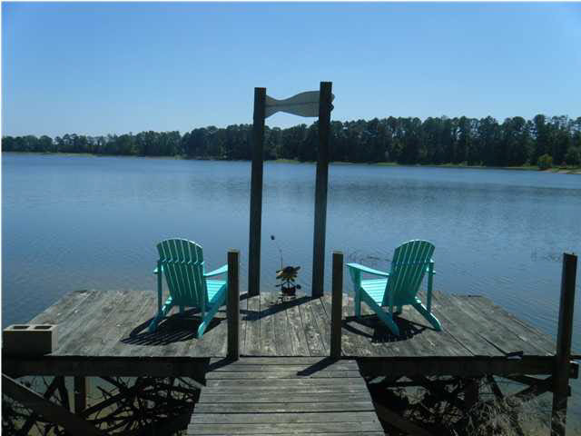 123 Cauthen Road Camden, MS 39045 - Photo 3 of 12 Photo 3