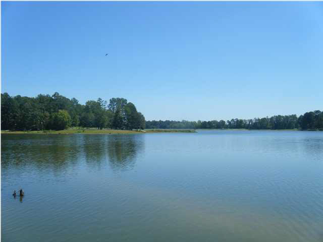 123 Cauthen Road Camden, MS 39045 - Photo 4 of 12 Photo 4