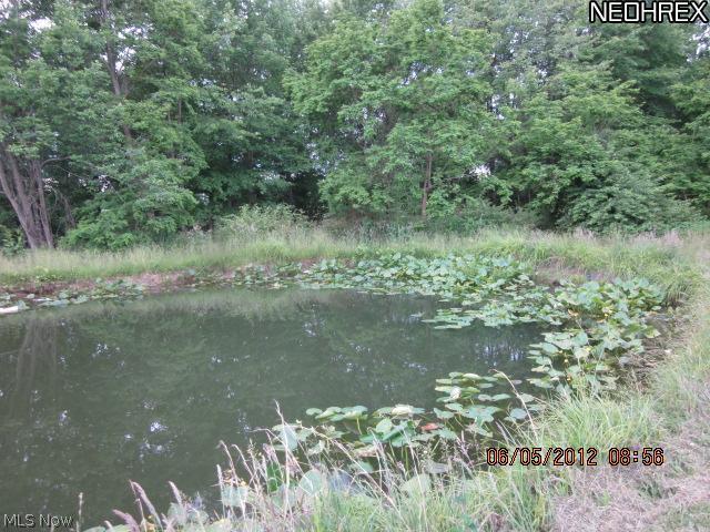 5721 Highway 45 Rome, OH 44085 - Photo 4 of 15 Gallery Image 4