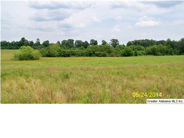 18 County Road, Unit 33 Bremen, AL 35033 - Photo 4 of 9