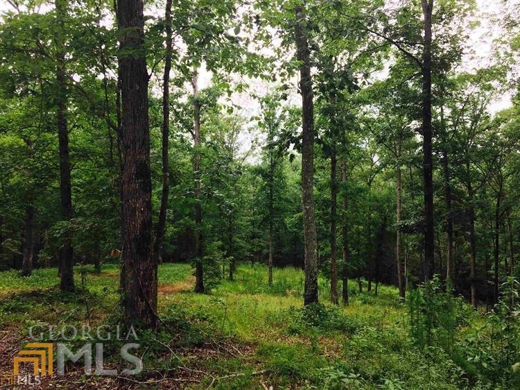 Lot 15 River Bend Road Macon, GA 31211 - Photo 1 of 1 a view of lush green forest