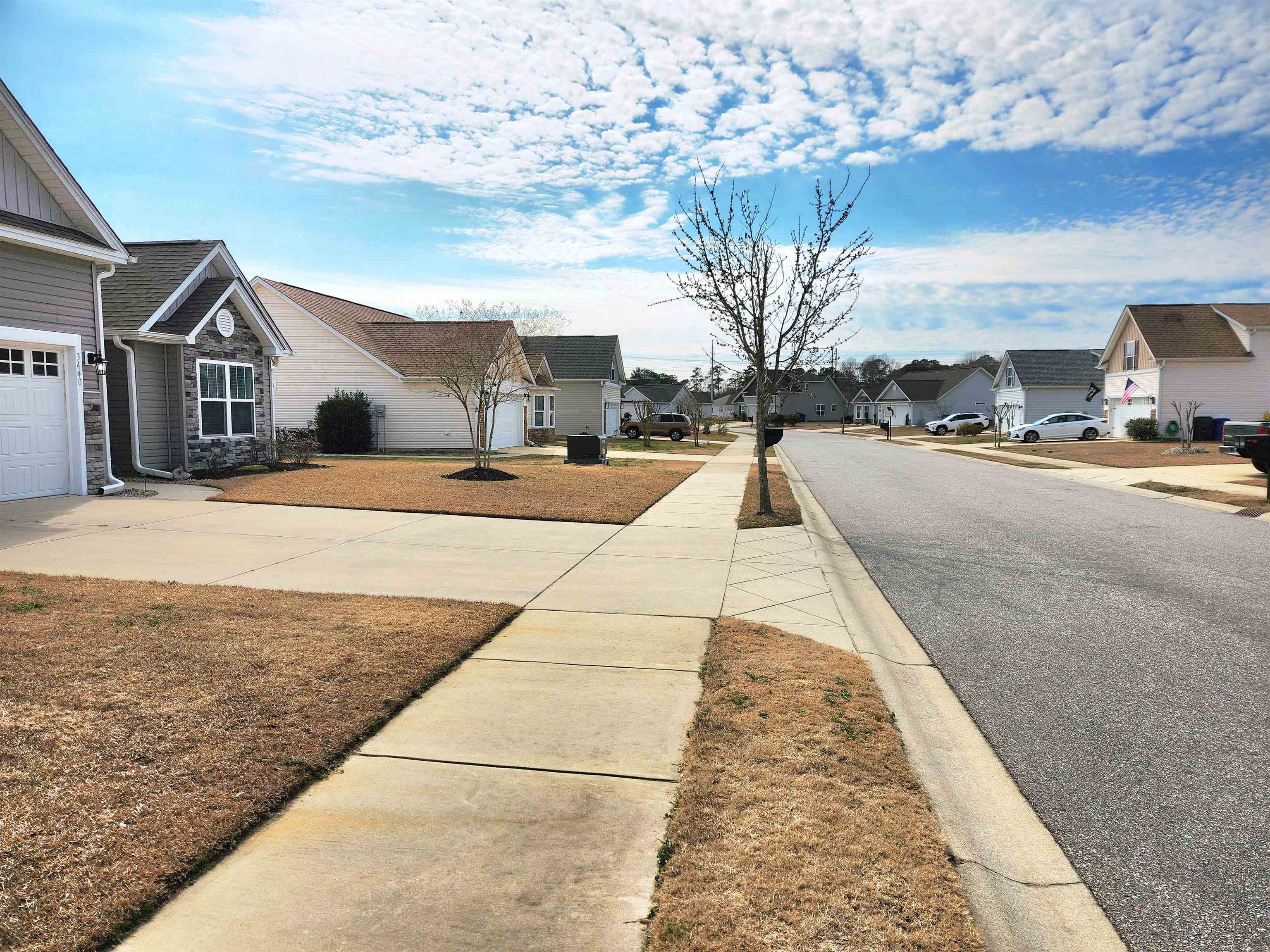 3440 Holly Loop Conway, SC 29527 - Photo 67 of 68