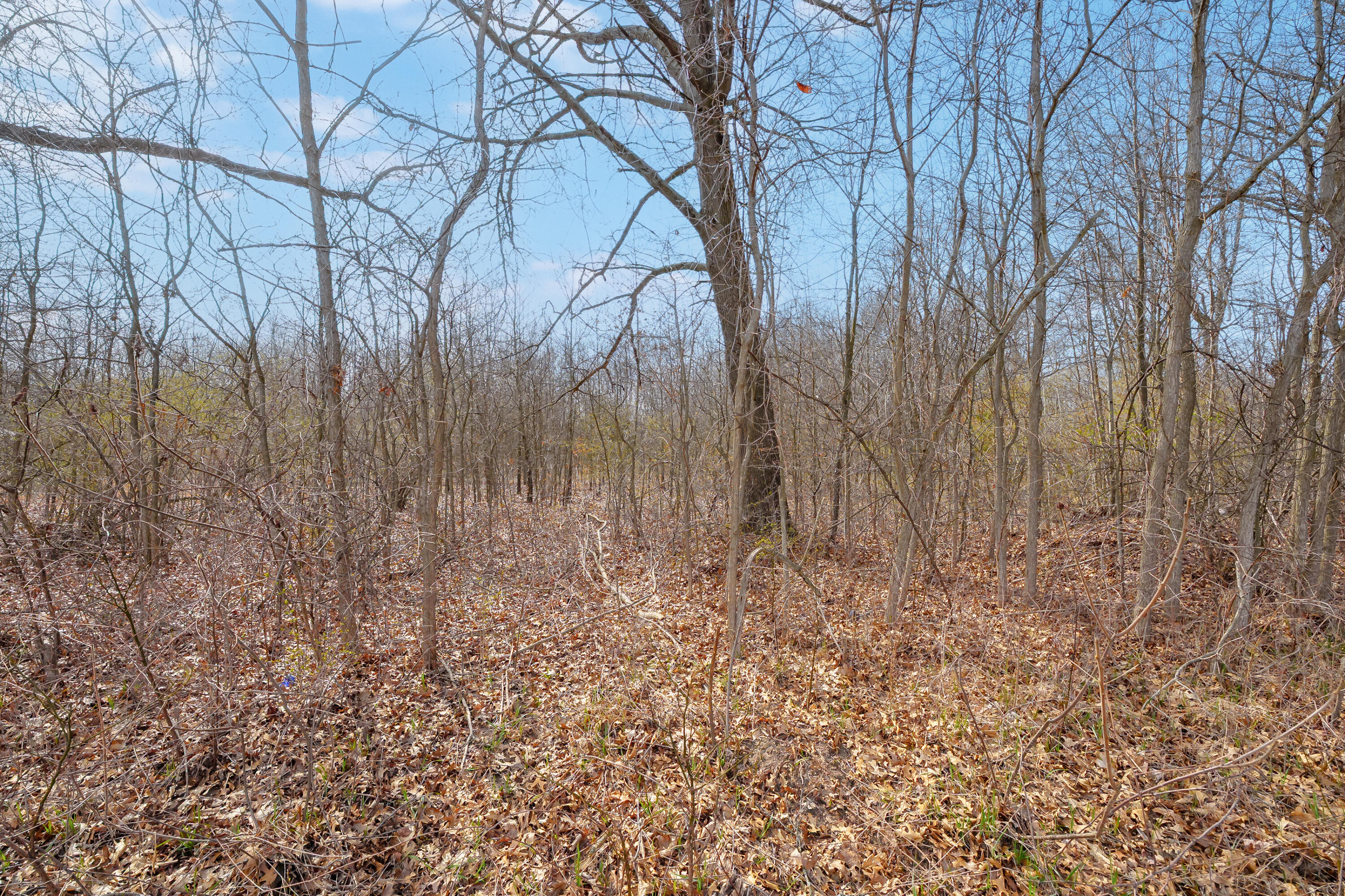 3 1/2 Mile Road Athens, MI 49011 - Photo 3 of 12 350 Mile Rd VL Athens 49011-3