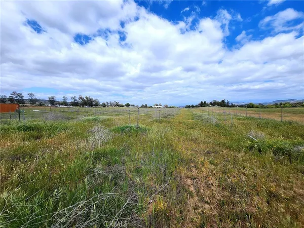 a view of a lake with a city