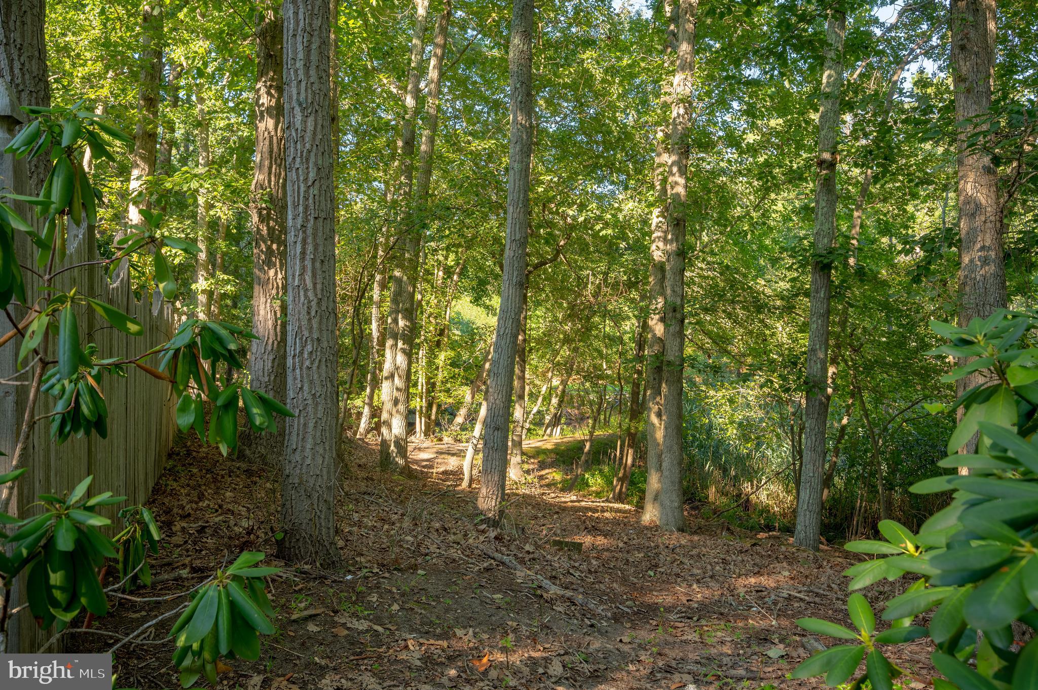629 Tabernacle Road Medford, NJ 08055 - Photo 43 of 46