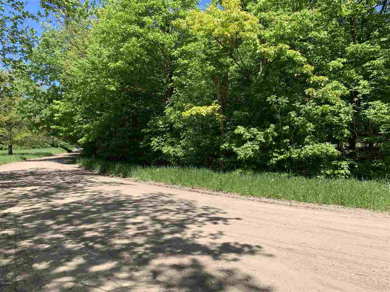 4.05 West Baseline Road Hart, MI 49420 - Photo 4 of 6