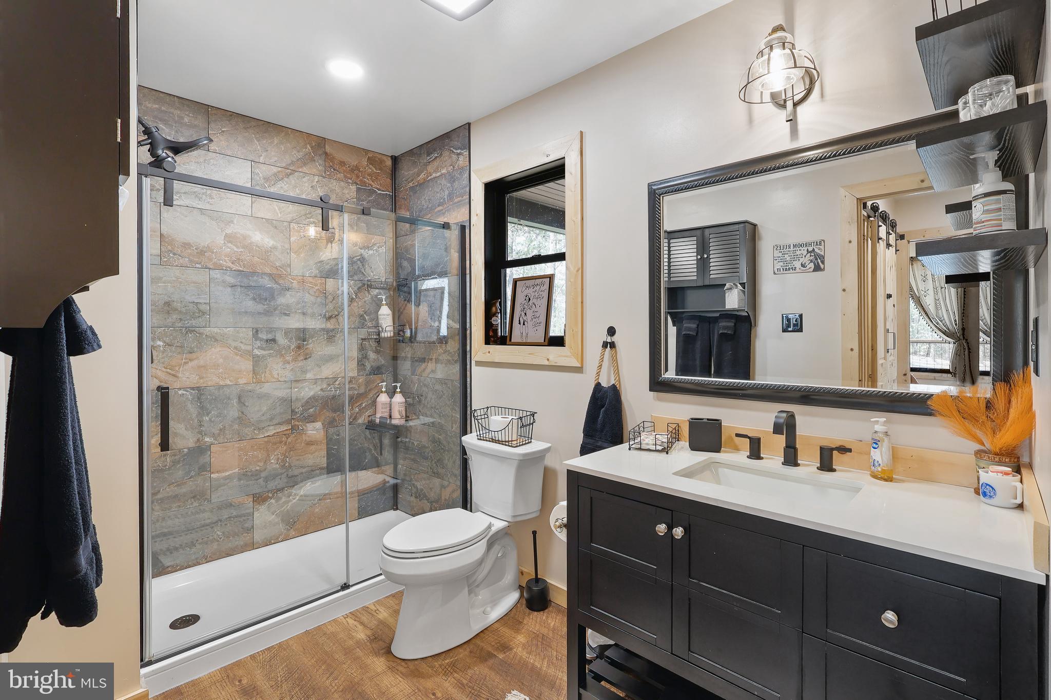 1823 Desert Road Reva, VA 22735 - Photo 18 of 28 a bathroom with a double vanity sink toilet and shower
