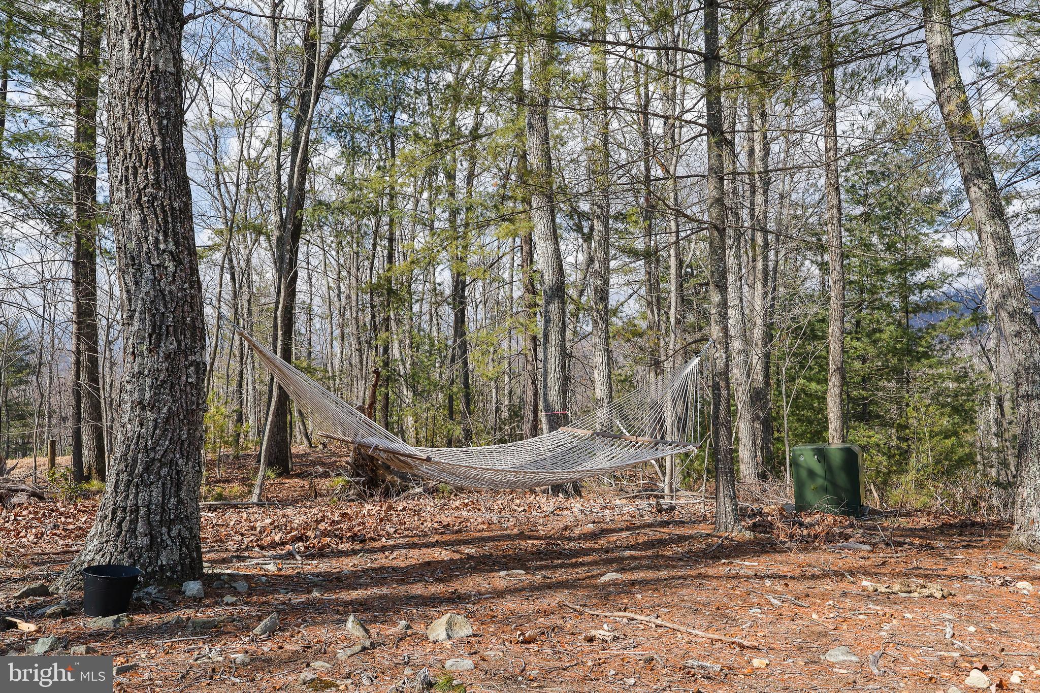 1823 Desert Road Reva, VA 22735 - Photo 27 of 28 a view of a park with large trees