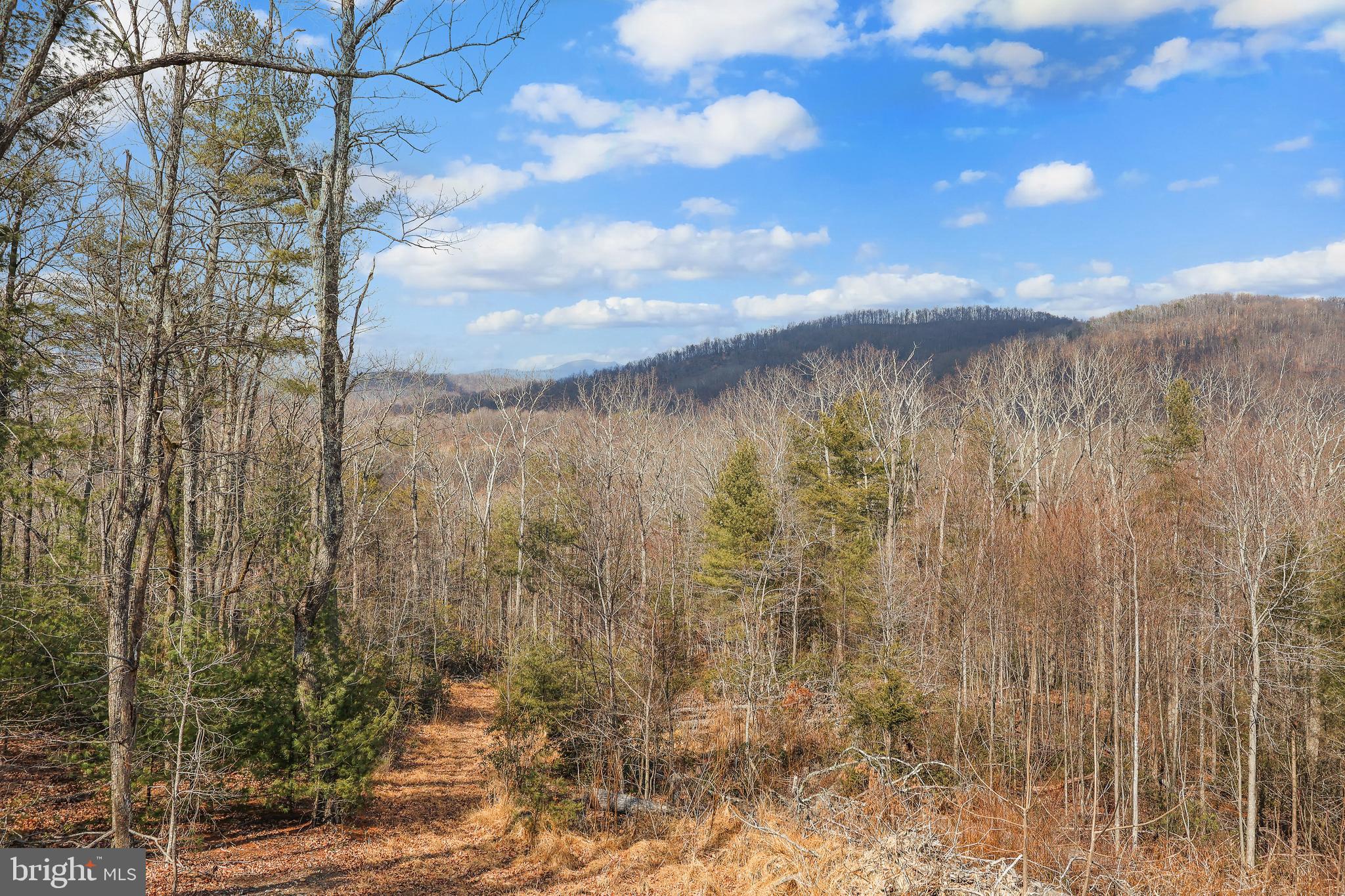 1823 Desert Road Reva, VA 22735 - Photo 28 of 28 a view of a yard next to a yard