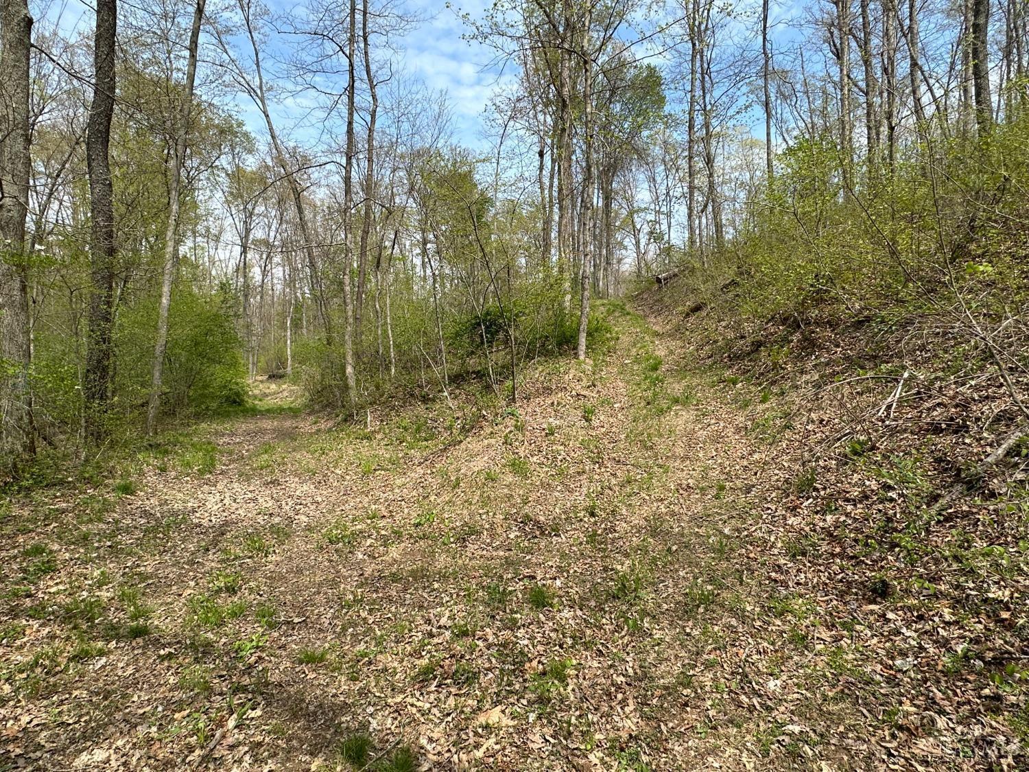 0 Hackleshin Road Peebles, OH 45660 - Photo 15 of 18