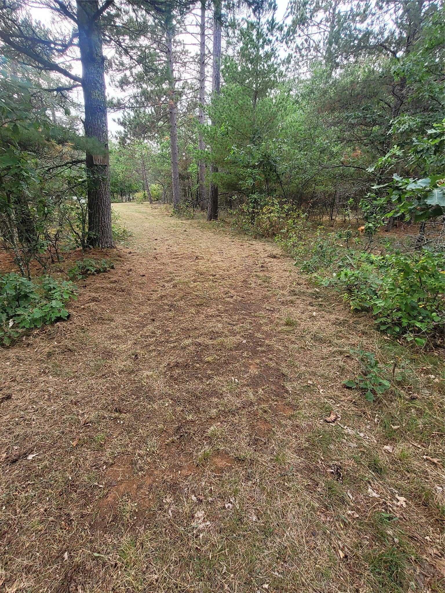0 Blueberry Road Gordon, WI 54838 - Photo 7 of 35 Gallery Image 7