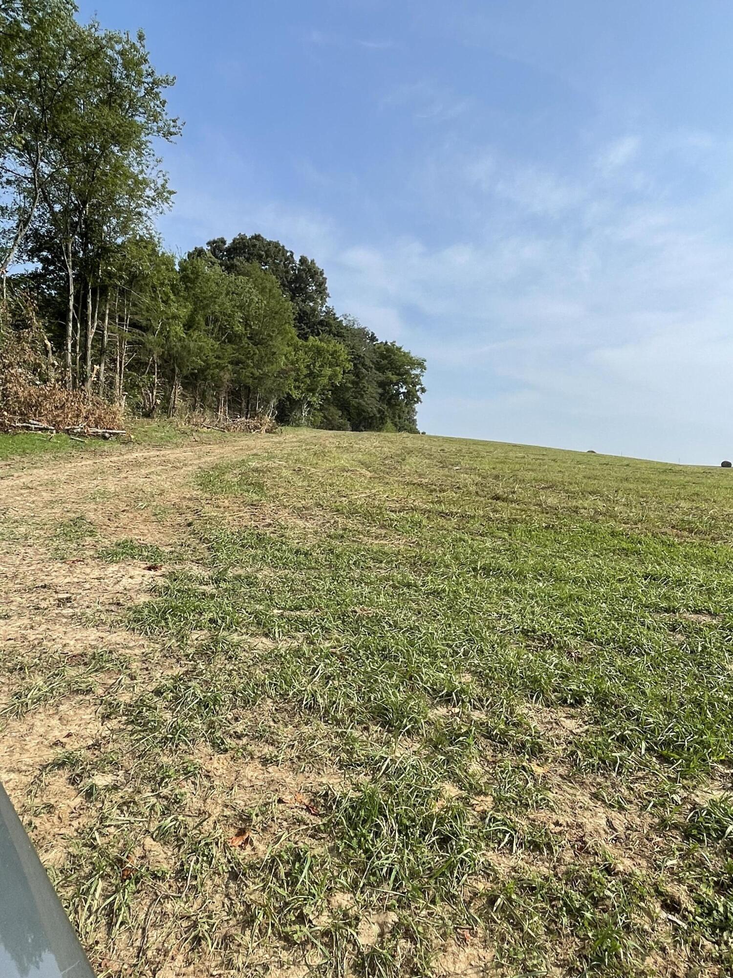 171 Browning Road Telford, TN 37690 - Photo 3 of 18 IMG_3705