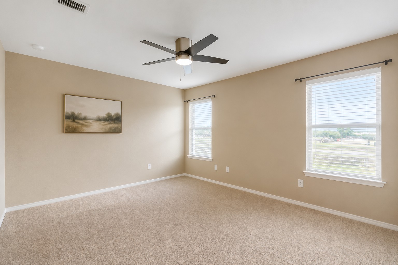 46 Verde Ranch Loop Leander, TX 78641 - Photo 11 of 19 A spacious, naturally illuminated room featuring warm beige walls and plush carpeting, ideal for serene relaxation.