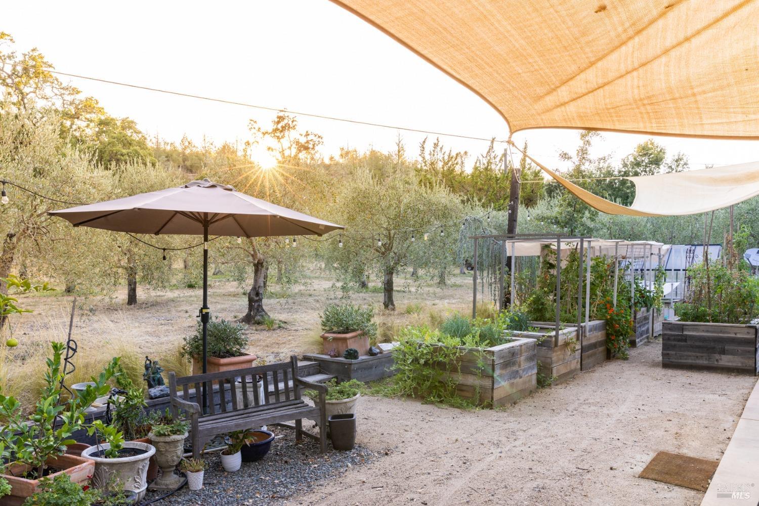 601 Rossi Road St. Helena, CA 94574 - Photo 47 of 48