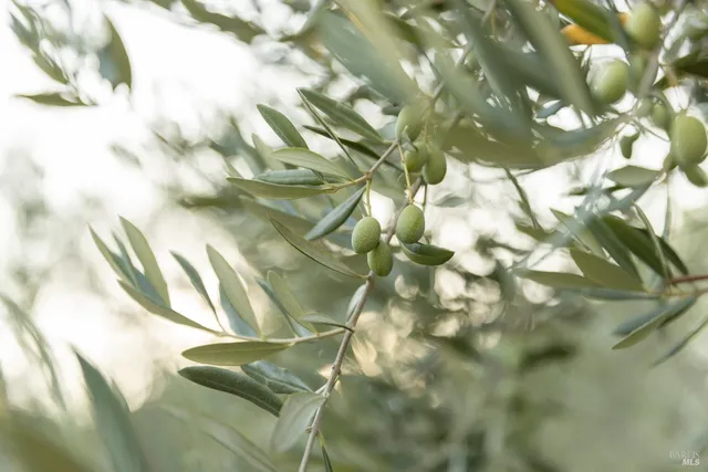 $1,995,000 | 601 Rossi Road, St. Helena, CA 94574