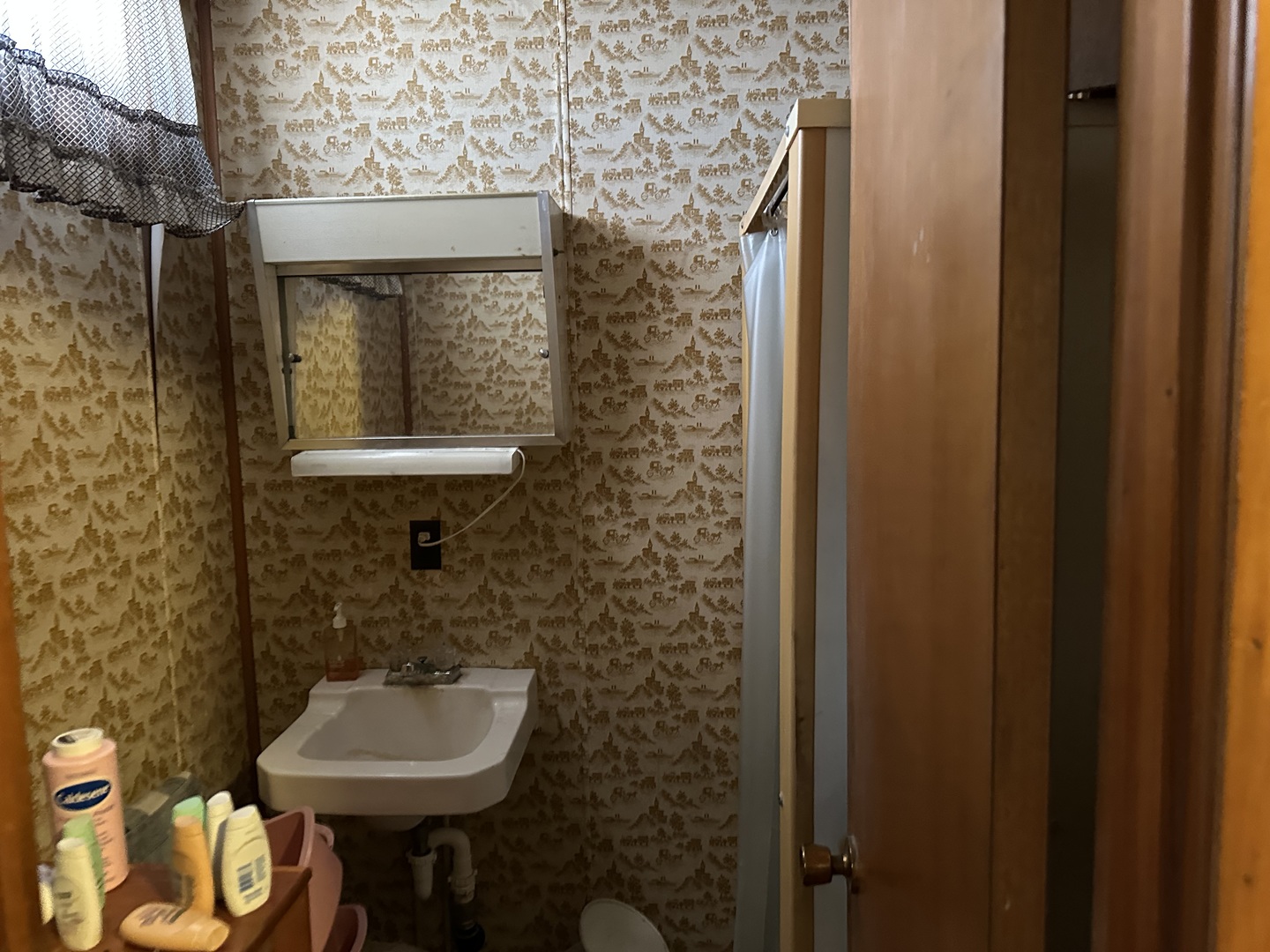 2999 Hartman Road Chadwick, IL 61014 - Photo 7 of 12 a bathroom with a toilet sink and mirror