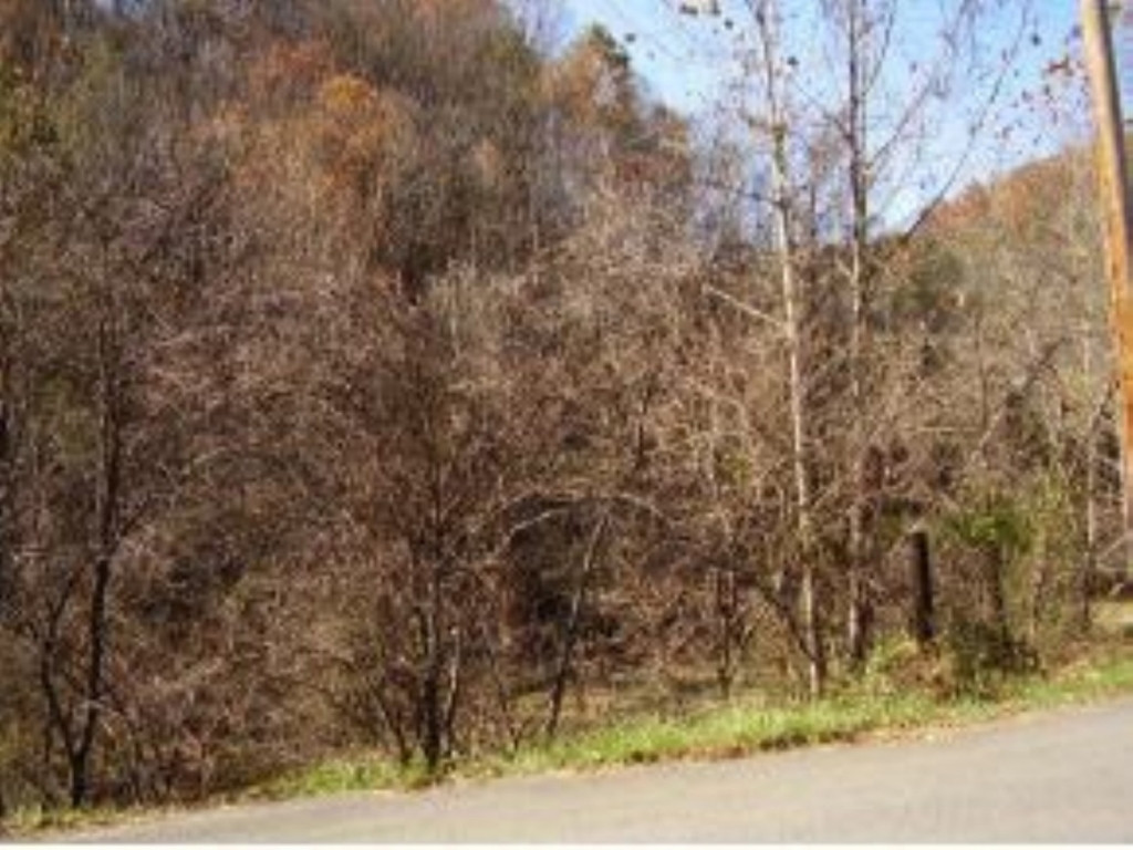 Tbd Timbertree Branch Road Kingsport, TN 37660 - Photo 1 of 1 Photo 1