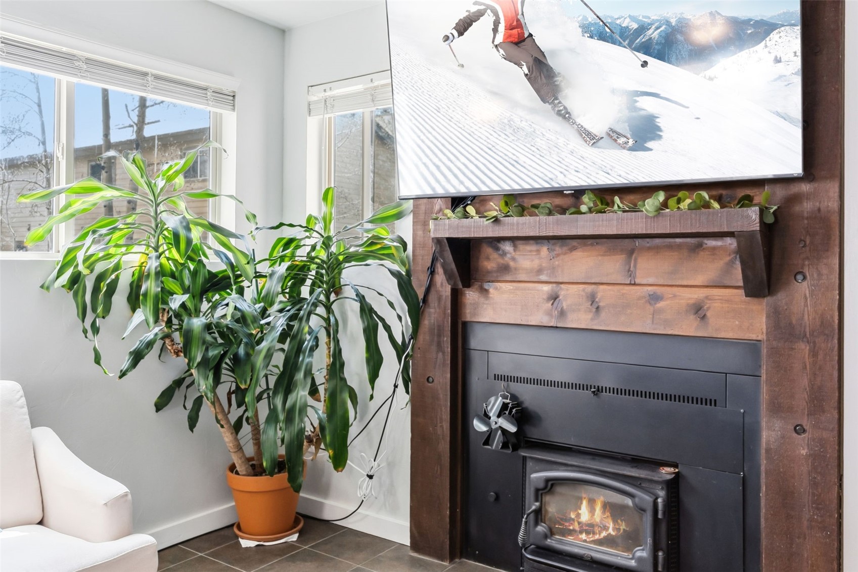 6920 Ryan Gulch Road, Unit 6920 Silverthorne, CO 80498 - Photo 7 of 48 a potted plant sitting on top of a wall