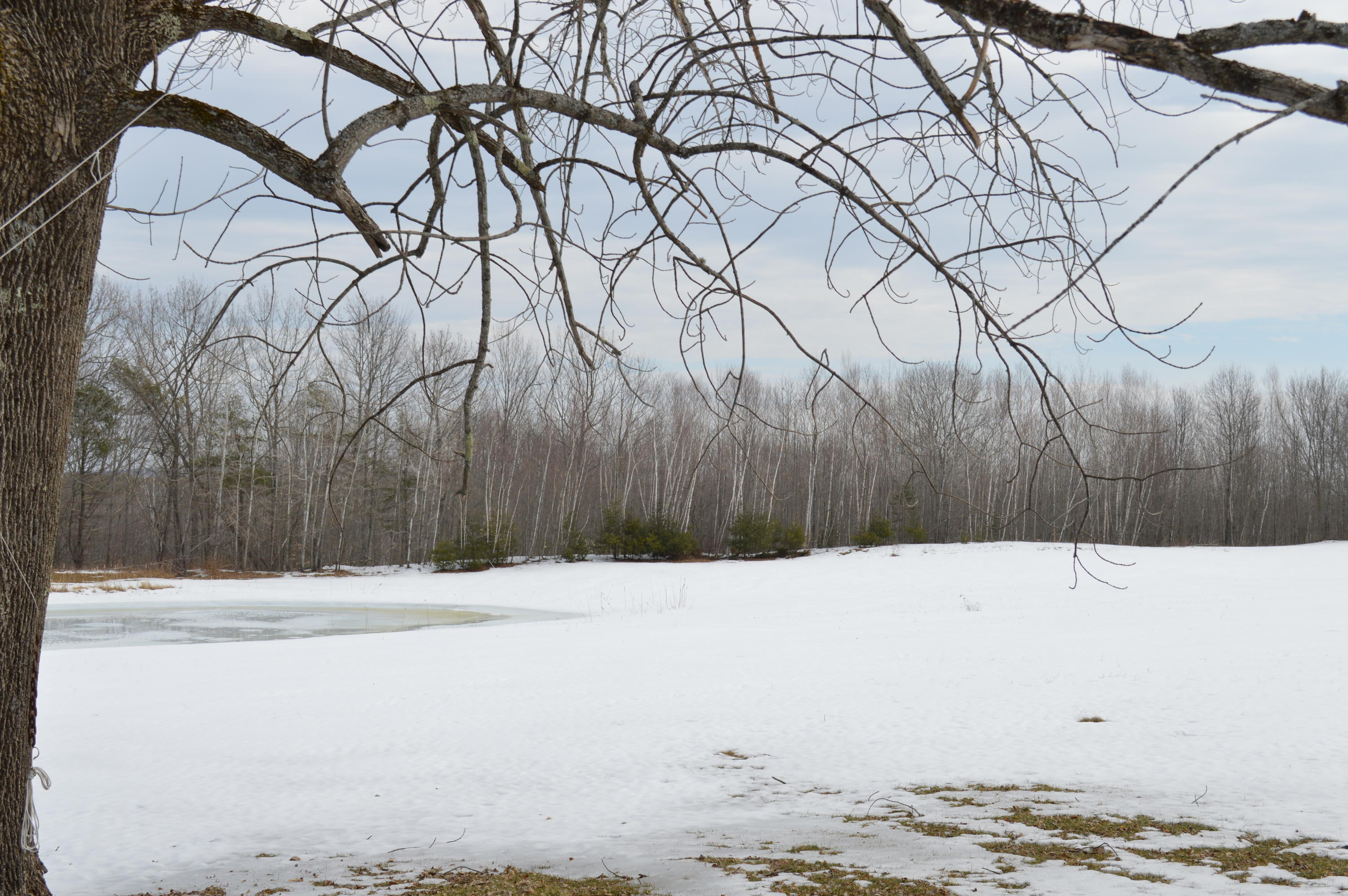 307 Barton Road Windsor, ME 04363 - Photo 17 of 48 E8BDD2F4-6182-43F8-B0CA-AEF526CD2418