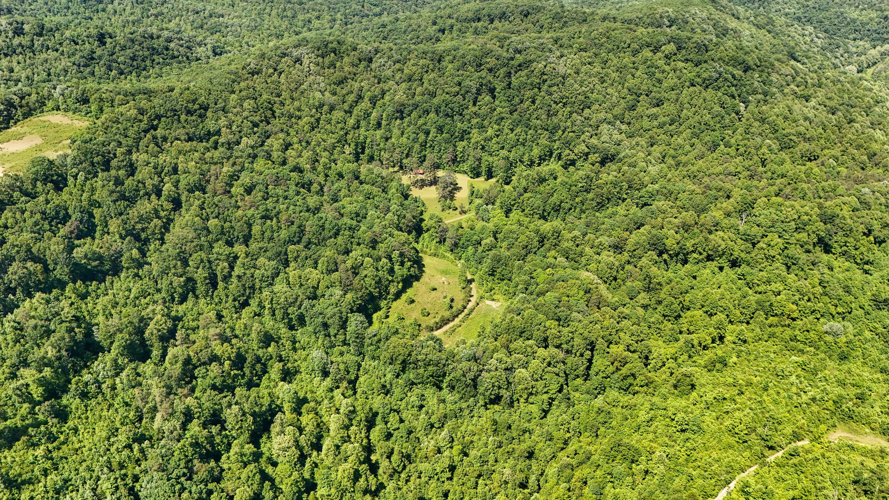 0 Birch Hollow Road Livingston, KY 40445 - Photo 6 of 38 LightroomRealEstateEdits-4