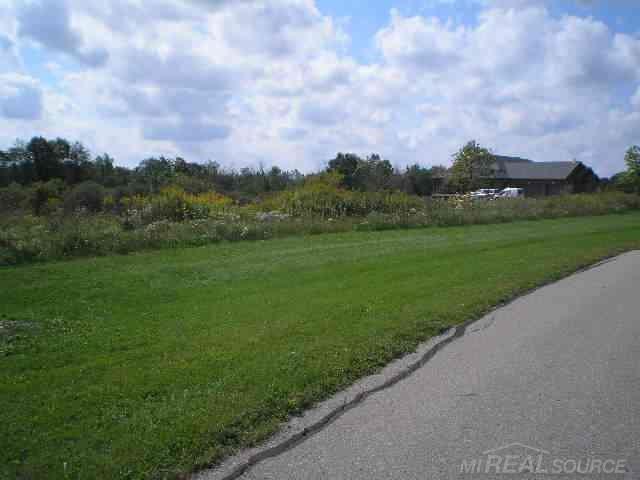 78849 Harvest Lane Romeo, MI 48065 - Photo 1 of 5 Gallery Image 1